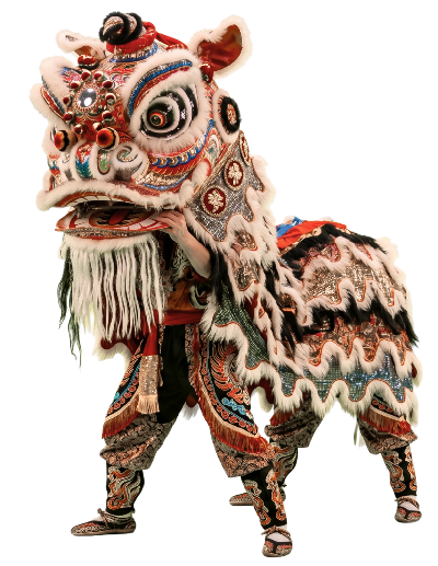 Traje tipico dragon leon chino